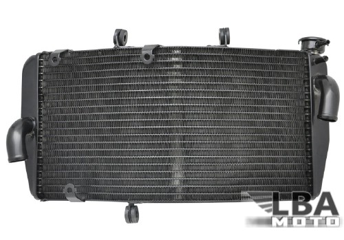 Радиатор для Honda CBR954RR 02-03