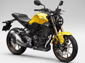 CB300R/CBF300N