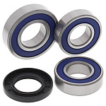 Комплект подшипников заднего колеса ALL BALLS KTM Duke 690 14-17 (25-1706)