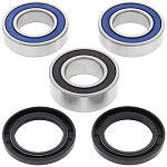 Комплект подшипников заднего колеса ALL BALLS Husqvarna CR125/250 00-13,SM450~610/TC25~610 (25-1420)