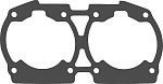 BRP Sea-Doo 580, 650 Rotax 587 прокладка цилиндра 420931161, 290931161