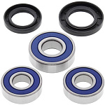 Комплект подшипников заднего колеса ALL BALLS Honda XL600V TRANSALP  87-96, XR250L, FMX650 (25-1230)