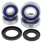 Комплект подшипников заднего колеса ALL BALLS Kawasaki VN2000 06-10 (25-1694)