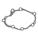 Kawasaki KLE650, ER4, ER6 прокладка копир вала 11061-0166