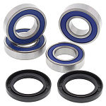 Комплект подшипников заднего колеса ALL BALLS Honda CBR600RA 15-16. CBR600RR 07-16 (25-1563)