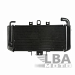 Радиатор для Yamaha FZS600 98-03