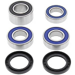 Комплект подшипников заднего колеса ALL BALLS Honda CBR929RR 00-01, CBR954RR 02-03 (25-1657)