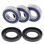 Комплект подшипников заднего колеса ALL BALLS Yamaha TTR250 99-06  (25-1021)