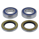 Комплект подшипников переднего колеса ALL BALLS BMW R-Nine-T 15-17 (25-1750)