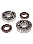 Комплект подшипников и сальников коленвала BWX KTM SX65 98-08, SX60 98-00 (24-1102)