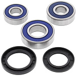 Комплект подшипников заднего колеса ALL BALLS Kawasaki ER-5, EX250 Ninja, EX300 Ninja 13 (25-1234)