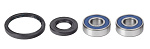 Комплект подшипников переднего колеса ALL BALLS Ninha EX250 Ninja 250R 08-12 (25-1743)