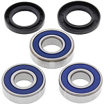 Комплект подшипников заднего колеса ALL BALLS Honda CBR900RR 93-95, VT750C, VT750DC, VT7 (25-1154)