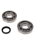 Комплект подшипников и сальников коленвала BWX Suzuki RM-Z450 05-07 (23.CBS34005)