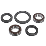 Комплект подшипников и сальников переднего колеса CHAKIN RacingLine CH25-1080RL