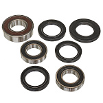 Комплект подшипников и сальников заднего колеса CHAKIN RacingLine CH25-1392RL