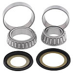 Комплект подшипников рулевой колонки ALL BALLS Kawasaki ZX12R 00-01, ZX-6R 98-02  (22-1038)