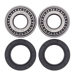 Комплект подшипников заднего колеса ALL BALLS Harley-Davidson FX-D,DC,DL,DS,DX,E,EF,LR,R (25-1001)