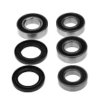 Комплект подшипников и сальников заднего колеса CHAKIN CH25-1758