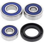 Комплект подшипников заднего колеса ALL BALLS Kawasaki KLX110 02-18, KLX110L 10-18 (25-1400)