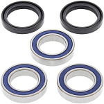 Комплект подшипников заднего колеса ALL BALLS Kawasaki KX250F 04-16, KX450F Suzuki RMZ250 (25-1406)