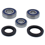 Комплект подшипников заднего колеса ALL BALLS Kawasaki EX400 Ninja 18-19, Z400 19 (25-1780)