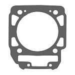 Прокладка для BRP 420630210