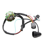 Статор генератора Kawasaki KX250F 04-10, Suzuki RM-Z250 05-06 K2100-30027, K2100-30048, 21003-0015