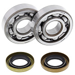 Компл. подшипников и сальников к/вала ALL BALLS KTM 60SX 98-00, 65SX 98-08, 65XC 08  (24-1102)