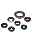 Комплект сальников двигателя BWX ARCTIC DVX400 04-08,Kawasaki KFX400 03-06,LT-Z400 03-08 (822201)