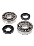 Комплект подшипников и сальников коленвала BWX Yamaha YZ125 05-22, YZ125X 20-22 (24-1062)
