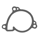 Kawasaki KLX300R, KLX250/D-TRACKER прокладка под крышку водяной помпы 11060-1328