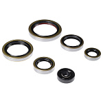 Комплект сальников двигателя BWX KTM SX250 03-16,Husqvarna TE/TC250 14-16,TE300 14-16 (822269)
