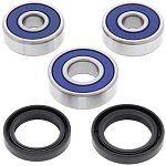 Комплект подшипников заднего колеса ALL BALLS Honda CBF125 09-13, CBR125 04-10 (25-1600)
