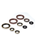 Комплект сальников двигателя BWX EXC450 09-11, EXC530 09-11 (822359)