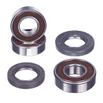 Комплект подшипников и сальников заднего колеса CHAKIN RacingLine CH25-1066RL