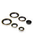 Комплект сальников двигателя BWX KTM SX125 98-15, EXC125 98-06, SX150 09-15 (822187)