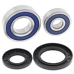 Комплект подшипников заднего колеса ALL BALLS Yamaha FZ6R 09-17, Kawasaki KZ650D (25-1282)