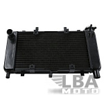 Радиатор для Yamaha FZ6, FZ6N, FZ6-N, FZ6S  04-10