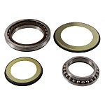 Комплект подшипников рулевой колонки ALL BALLS Honda GL1800 18-19 (22-1079)