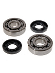 Комплект подшипников и сальников коленвала BWX Kawasaki KX65 00-22,KX85 01-22 (24-1006)